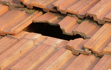 roof repair Bashley, Hampshire
